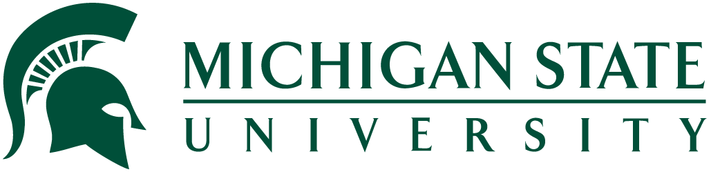 MS logo